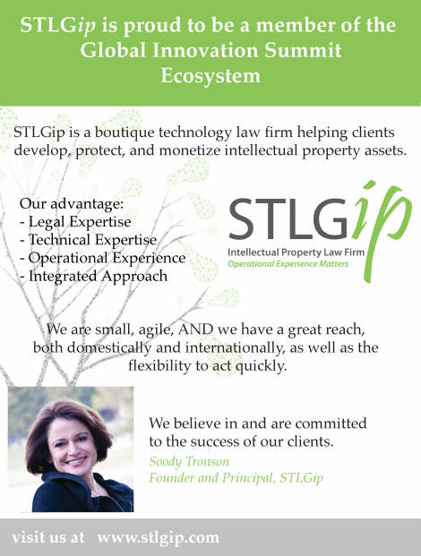 STLG-GIS